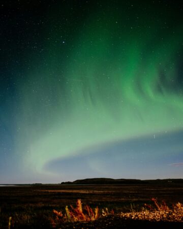 Auroras Boreales 